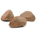 Passover Brazil Nuts In Shell
