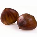Fresh Chestnuts in Shell