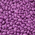 Dark Purple Chocolate Covered Sunflower Seeds