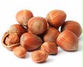 Hazelnuts (Filberts) in Shell