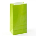 Green Paper Treat Bags - 12CT