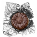 Dark Silver Flower Supreme Chocolates