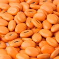 Orange Chocolate Mocha Coffee Beans