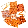 Orange Candy Buffet Planner Sample Kit 