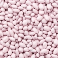 Pastel Pink Chocolate Covered Sunflower Seeds