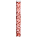 Pink Jelly Beans Tube - 24CT