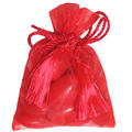 Red Mesh Favor Bags - 12CT Bag