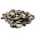 Roasted Unsalted Domestic Sunflower Seeds