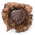 Non-Dairy Bronze Leaf Chocolate Truffles