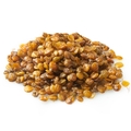 Roasted Unsalted Lentils