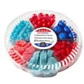 Patriotic Election Candy 6 Section Platter