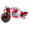 Senior Red & Silver Dark Chocolate Praline with Chocolate Filling - 2.2 LB