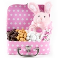 Sweet Arrivals Baby Girl Case With Nuts & Chocolates