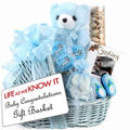 Baby Boy Congratulations Gift Basket Inspired by 