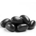 Black Jumbo Jelly Beans - Black Licorice