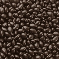 Dark Brown Chocolate Covered Sunflower Seeds