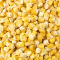 Freeze Dried Sweet Corn - 2oz Bag
