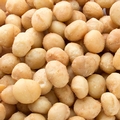 Dry Roasted Macadamia Nuts - Red Sea Salt 