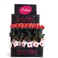 Red Milk Chocolate Sweetheart Roses - 48CT Box