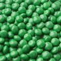 Gourmet Chocolate Covered Mints - Dark Green