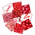 Red Candy Buffet Planner Sample Kit 