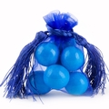 Royal Blue Mesh Favor Bags With Tassels - 12CT