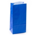 Royal Blue Paper Treat Bags - 12CT