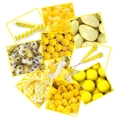 Yellow Candy Buffet Planner Sample Kit 