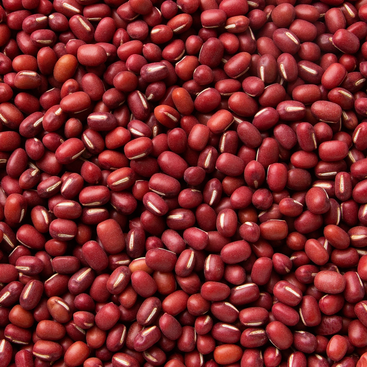 Adzuki Beans Beans Bulk Nuts And Seeds Oh Nuts®