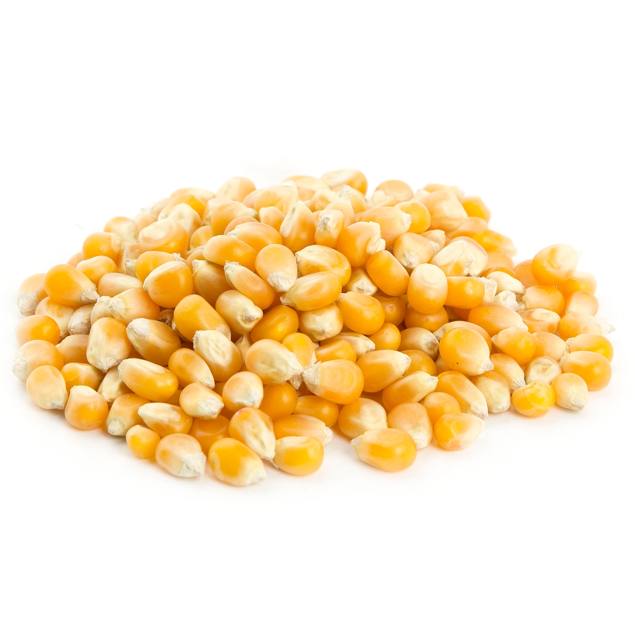 Popcorn Kernels - Bulk Nuts & Seeds • Oh! Nuts®