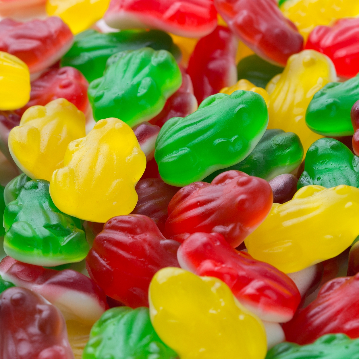 Frog Gummies - 2.2 LB Bag • Gummies & Jelly Candy • Bulk Candy • Oh! Nuts®